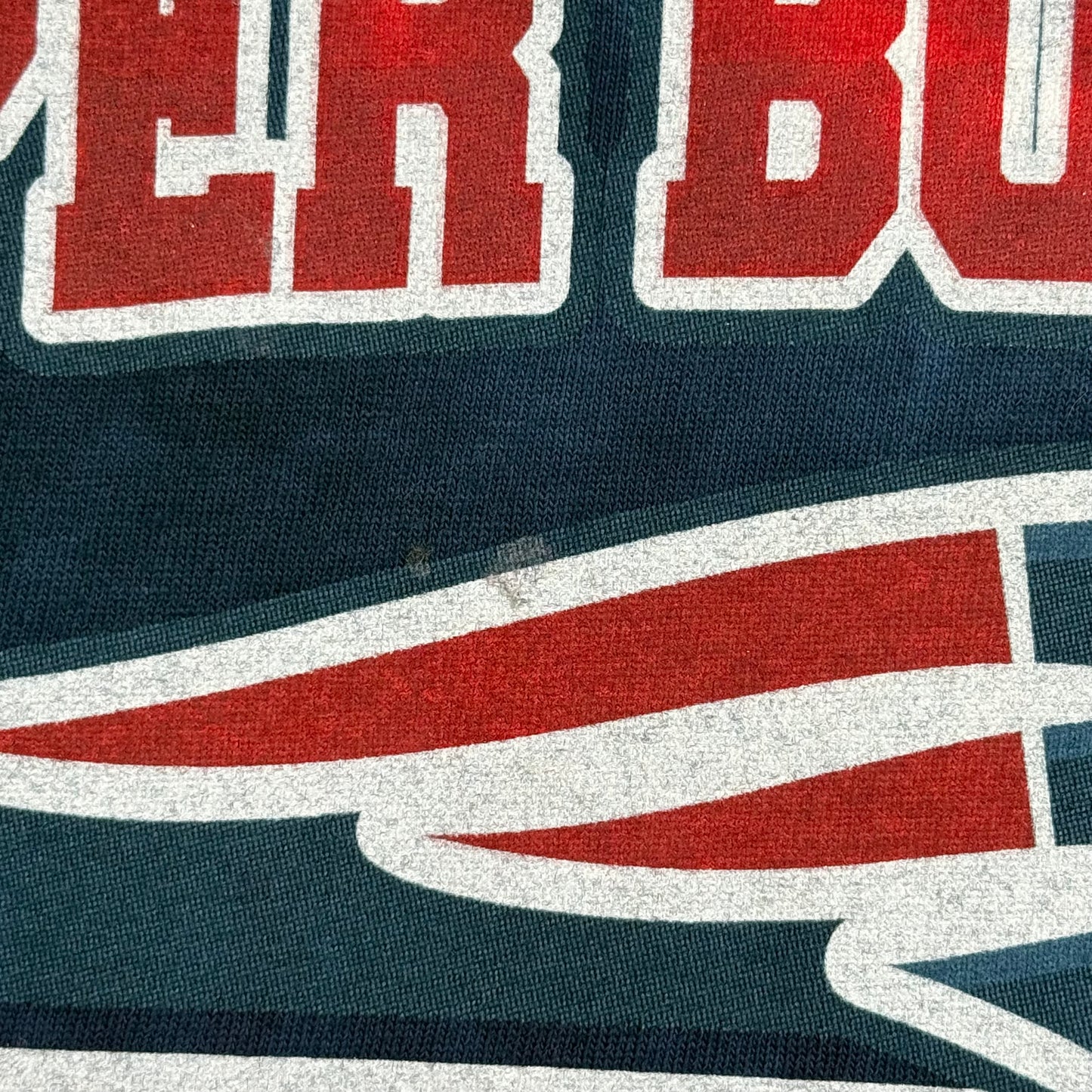 2015 Patriots Super Bowl XLIX Champions (XL)