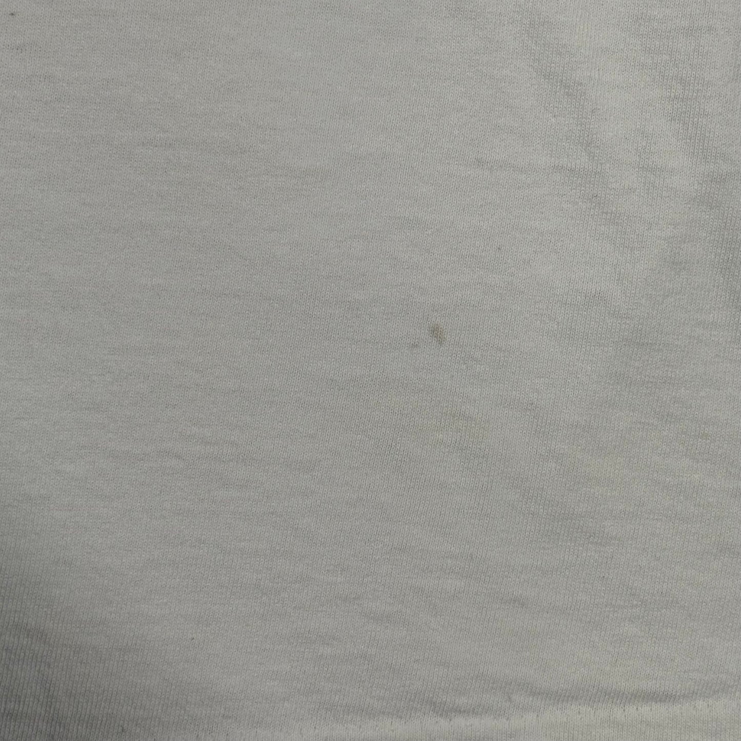 1990 Miami Dolphins Silver Season Tee (L)