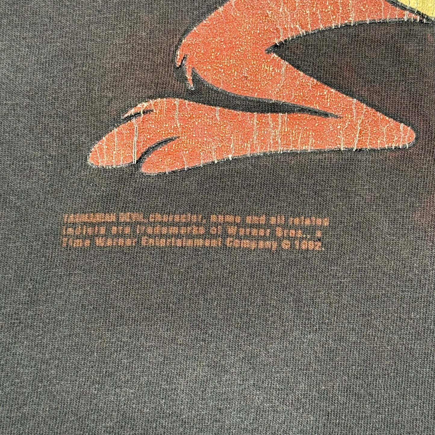 1990s Taz Looney Tunes (XL)