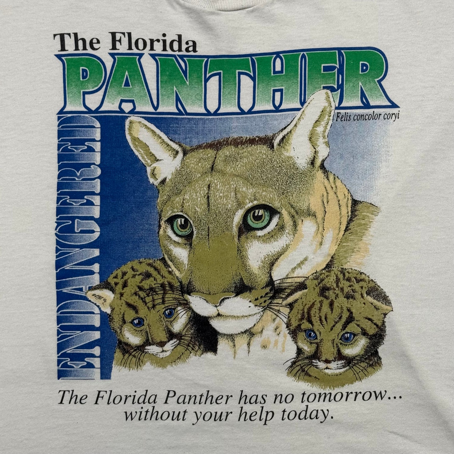 Vintage 90s Florida Panther Endangered Nature Graphic (XL)